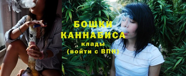 прущий лед Богородск
